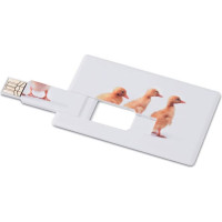 Creditcard. USB flash 4GB