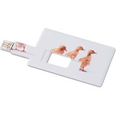 Creditcard. USB flash 4GB