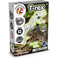 Science4You Fossil Excavation Kit I. Educational game for children